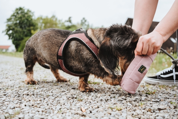 Hunter Trainer Snack Dummy mit Seil altrosa